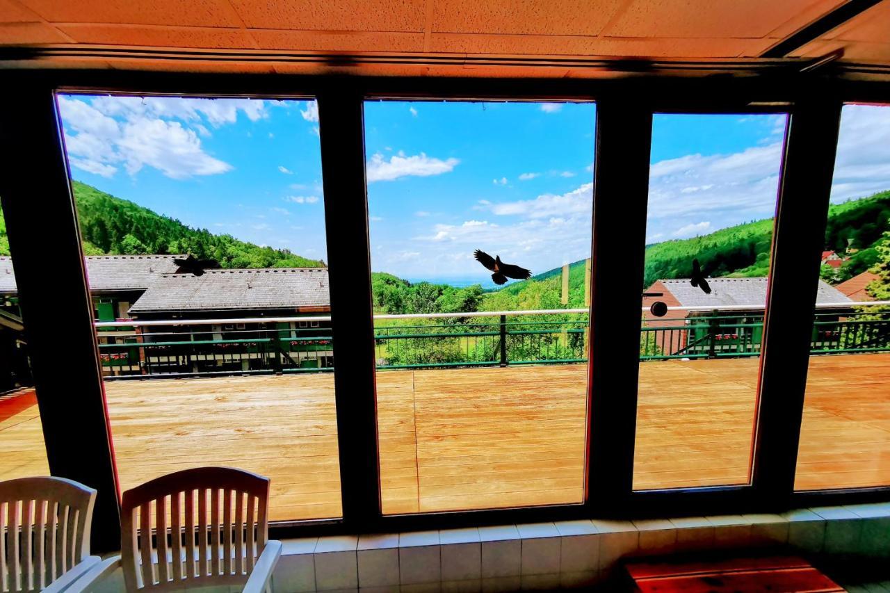 Black Forest Stay - Apartment Hirschperle ساسباشفالدن المظهر الخارجي الصورة